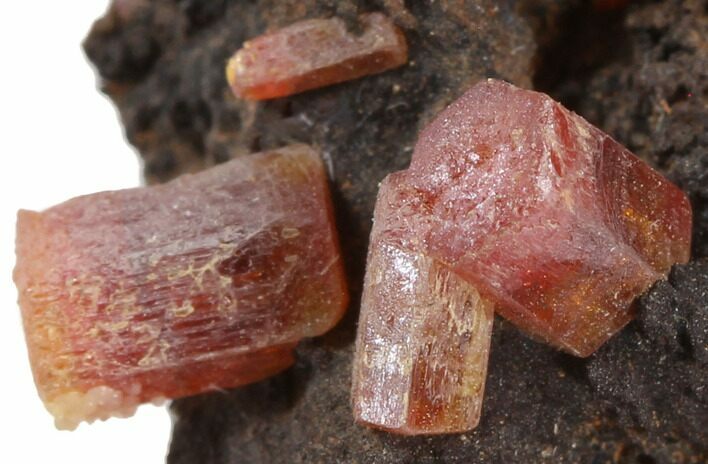 Red Vanadinite Crystals on Manganese Oxide - Morocco #38470